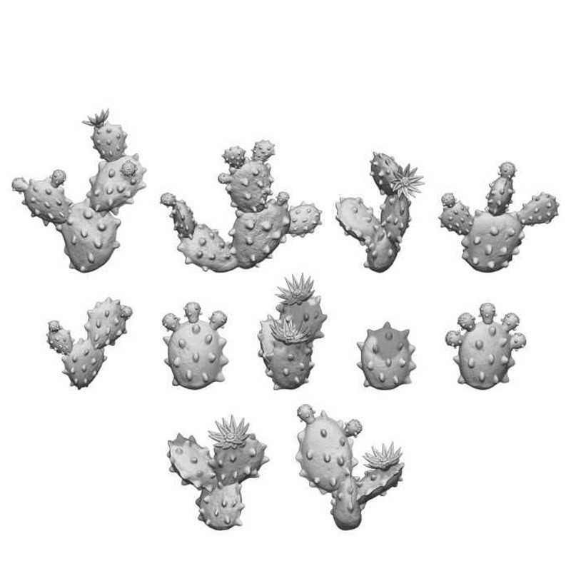 Set impreso en 3D - Cactus nopal
