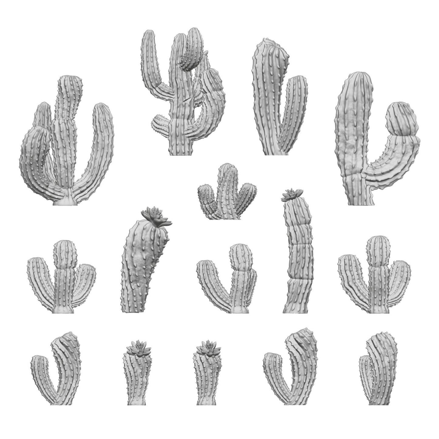 Cactus Saguaro 1:48-1:35