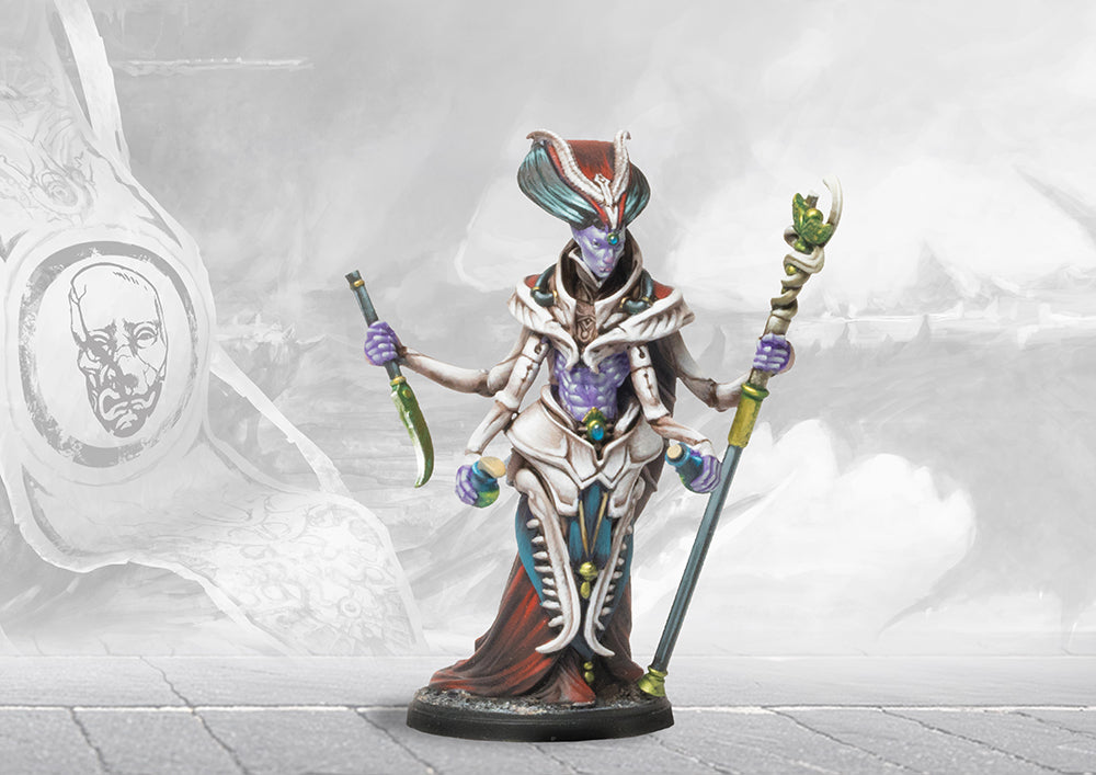 Conquest Two Player Deluxe Starter Set - Campaña Nepenthe