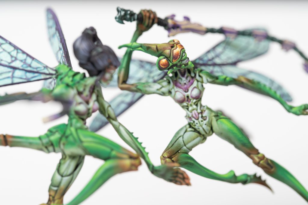 Weaver Courts: Scalie Dancers