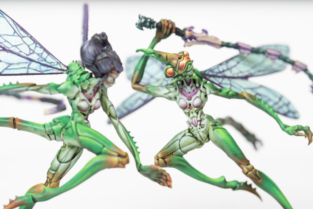 Weaver Courts: Scalie Dancers