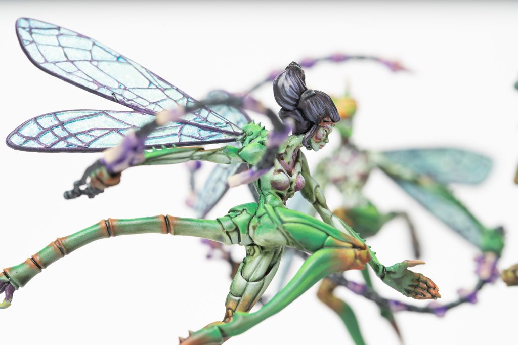 Weaver Courts: Scalie Dancers