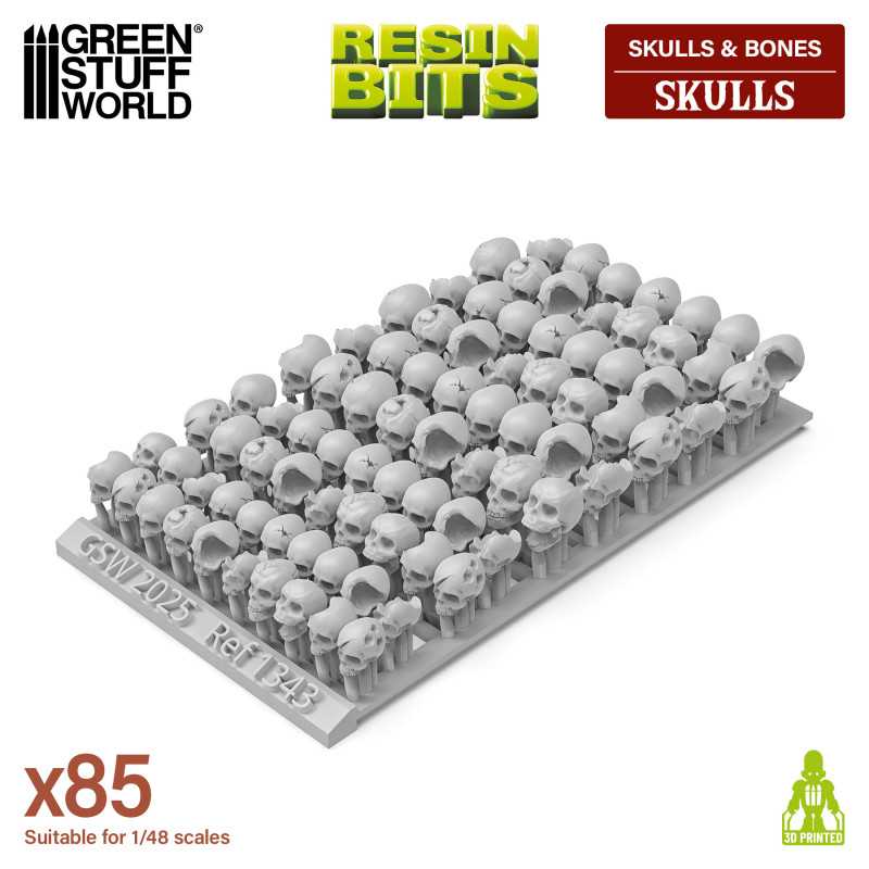 Cráneos de Resina (Pack x85)