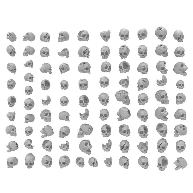 Cráneos de Resina (Pack x85)